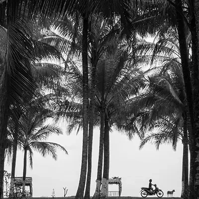 2005-08-08 Indonesia Cover