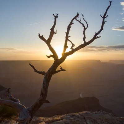 Grand Canyon National Park