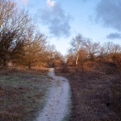 Kennemerduinen